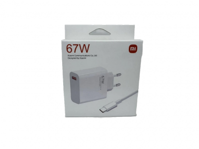 removebg (2)